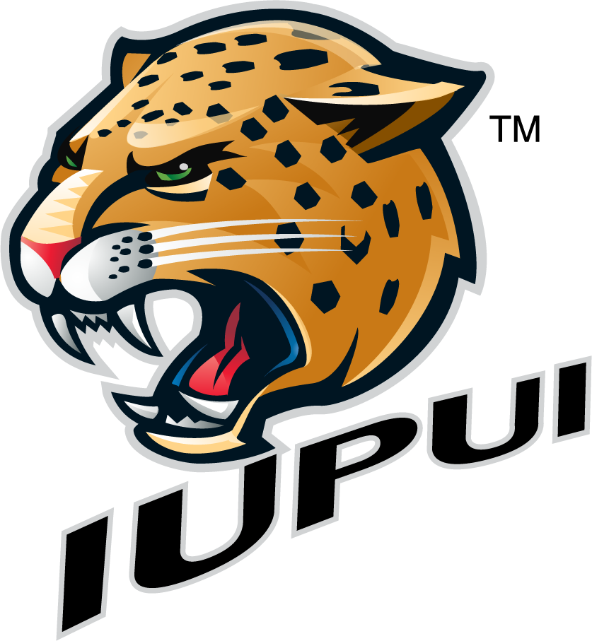 IUPUI Jaguars 2007-2017 Secondary Logo v3 iron on transfers for clothing